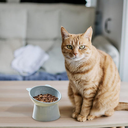 Cat bowl - Feeders - Tilting bowl - Anti-vomiting - Angled design - Blue - Perfect for cats - Indoor use - V1188-MS-313-0511
