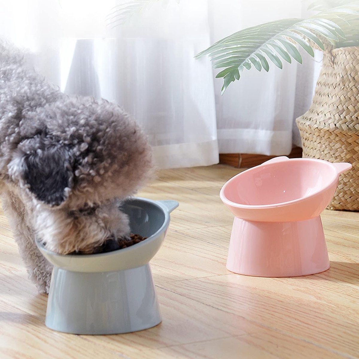 Cat bowl - Feeders - Tilting bowl - Anti-vomiting - Angled design - Blue - Perfect for cats - Indoor use - V1188-MS-313-0511