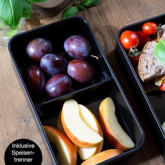 Japanese bento box, ideal lunch box for adults and children, compartmentalized lunch box, perfect for work, V1188-MS-313-0686