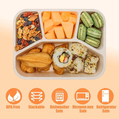 Lunch boxes - adult lunch box - child lunch box - snack box - 4-pack - compact - stackable - four colors - V1188-MS-313-0975