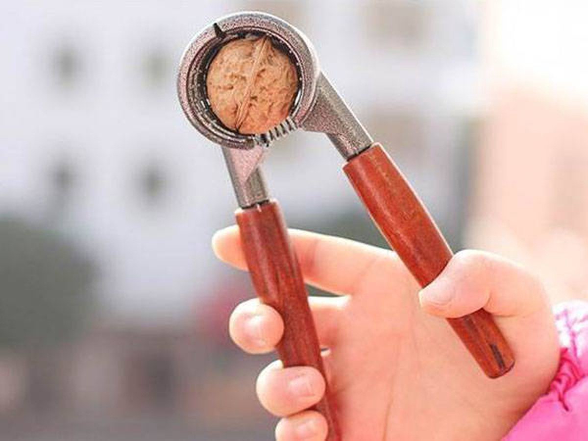 TR Goods - Steel nutcracker with wooden handle - Suitable for all nuts, including walnuts, hazelnuts and V1188-MS-313-0983