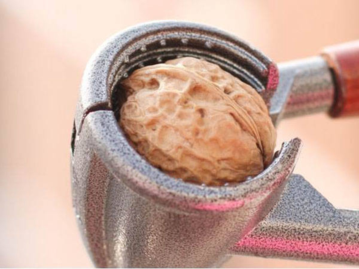 TR Goods - Steel nutcracker with wooden handle - Suitable for all nuts, including walnuts, hazelnuts and V1188-MS-313-0983