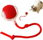 Smart Rolling Chew Ball for Dogs and Cats, Interactive Pet Toy, 2.5 inches V1188-MS-325-0081