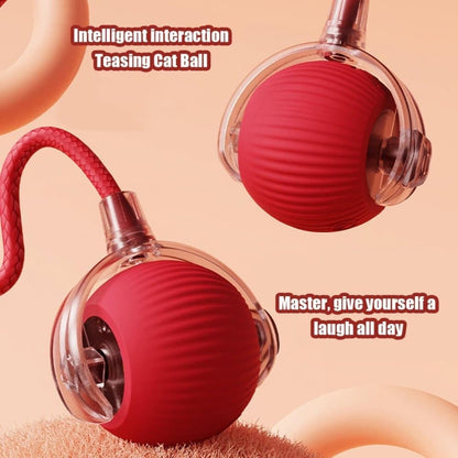 Smart Rolling Chew Ball for Dogs and Cats, Interactive Pet Toy, 2.5 inches V1188-MS-325-0081