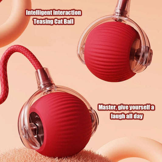 Smart Rolling Chew Ball for Dogs and Cats, Interactive Pet Toy, 2.5 inches V1188-MS-325-0081