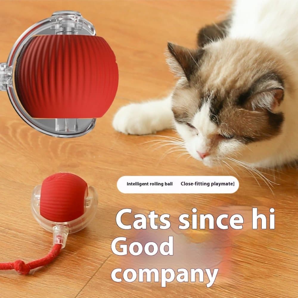 Smart Rolling Chew Ball for Dogs and Cats, Interactive Pet Toy, 2.5 inches V1188-MS-325-0081