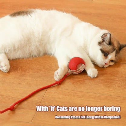 Smart Rolling Chew Ball for Dogs and Cats, Interactive Pet Toy, 2.5 inches V1188-MS-325-0081