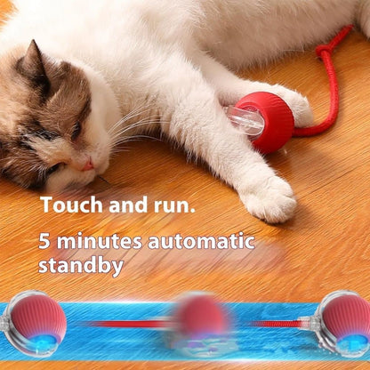 Smart Rolling Chew Ball for Dogs and Cats, Interactive Pet Toy, 2.5 inches V1188-MS-325-0081