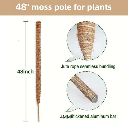 4 Bendable Moss Stakes for Climbing Plants, 100cm, Plant Support for Ivy and Monstera (4mm) V1188-MS-325-0088