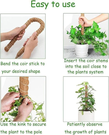 4 Bendable Moss Stakes for Climbing Plants, 100cm, Plant Support for Ivy and Monstera (4mm) V1188-MS-325-0088