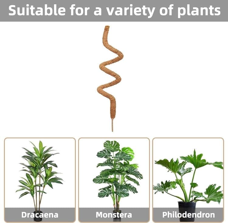 4 Bendable Moss Stakes for Climbing Plants, 100cm, Plant Support for Ivy and Monstera (4mm) V1188-MS-325-0088