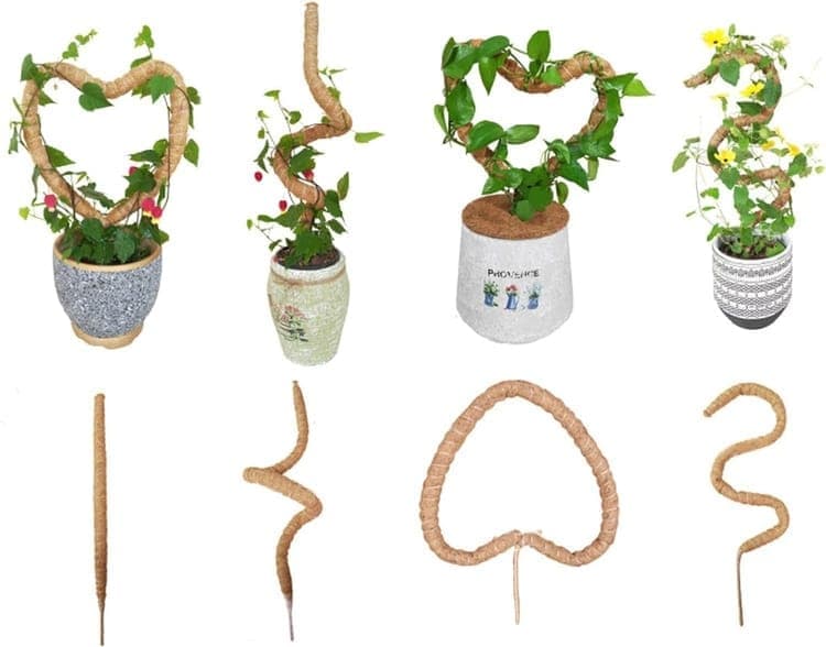 4 Bendable Moss Stakes for Climbing Plants, 100cm, Plant Support for Ivy and Monstera (4mm) V1188-MS-325-0088