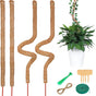 4 Bendable Moss Stakes for Climbing Plants, 100cm, Compatible with Ivy and Monstera, 7mm V1188-MS-325-0089