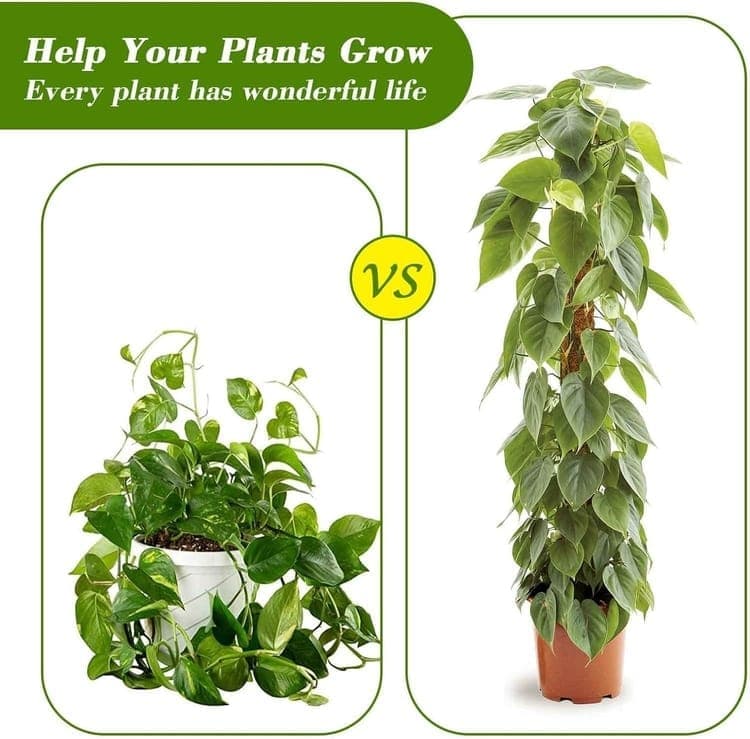 4 Bendable Moss Stakes for Climbing Plants, 100cm, Compatible with Ivy and Monstera, 7mm V1188-MS-325-0089