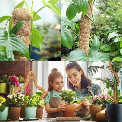 4 Bendable Moss Stakes for Climbing Plants, 100cm, Compatible with Ivy and Monstera, 7mm V1188-MS-325-0089