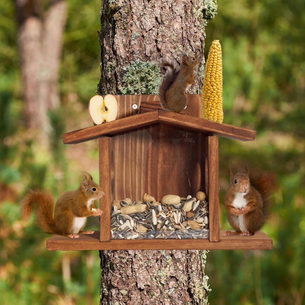 Wooden Squirrel Feeder with Removable Front Panel, Durable Outdoor Feeding Station, Easy to Fill V1188-MS-325-0133