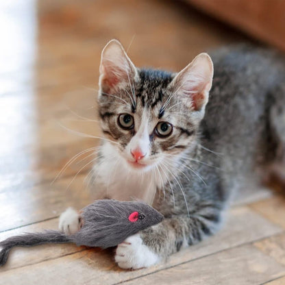 Cat Toy with Mouse and Feather, Hanging Door Toy for Indoor Cats, Stimulating Play V1188-MS-325-0312