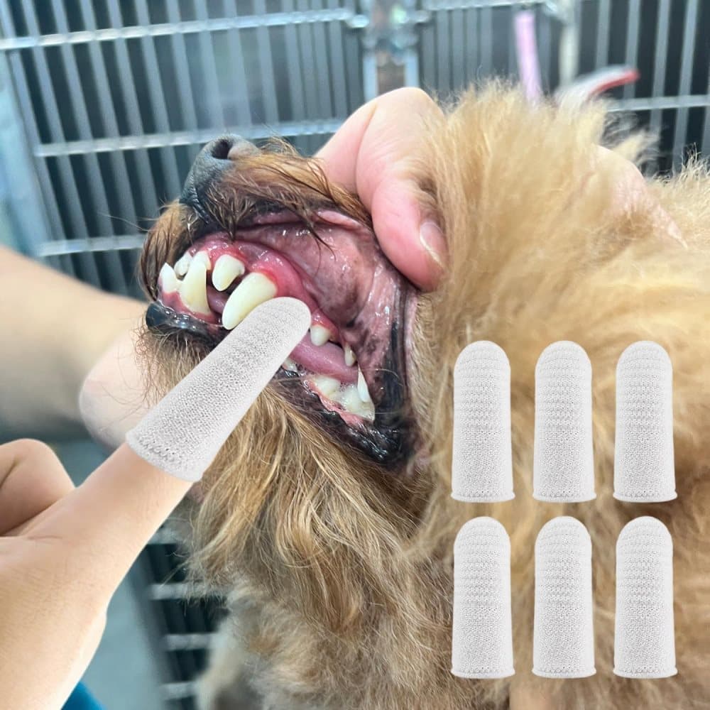 20 Pack Pet Finger Brush for Dogs and Cats, Gentle Teeth Cleaning, Reusable, Compatible with Oral-B V1188-MS-325-0360