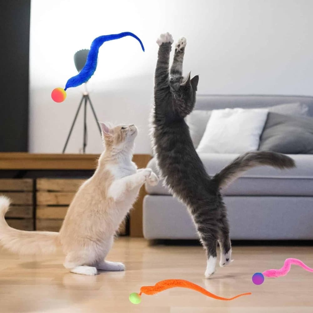 6-Pack Cat Toy, Colorful Interactive Balls with Tail for Play & Exercise V1188-MS-325-0380
