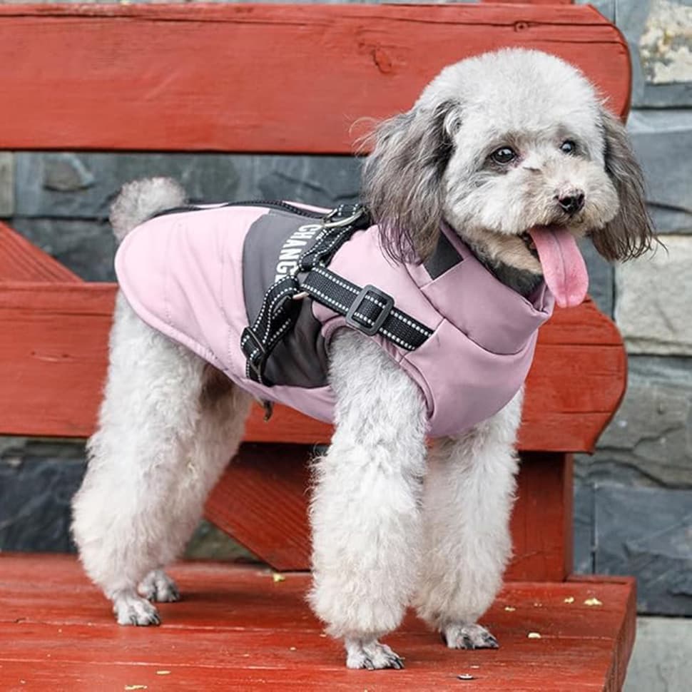 Winter Dog Vest Jacket Warm Soft Stand Collar Windproof Waterproof for Small Medium Large Dogs, Pink, XL V1188-MS-325-0387