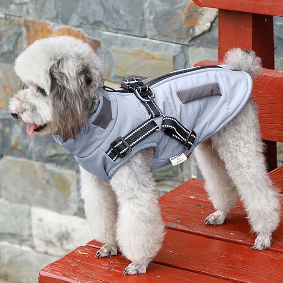 Warm Soft Winter Dog Vest with Stand Collar, Wind and Waterproof, Blue, S M L XL V1188-MS-325-0390