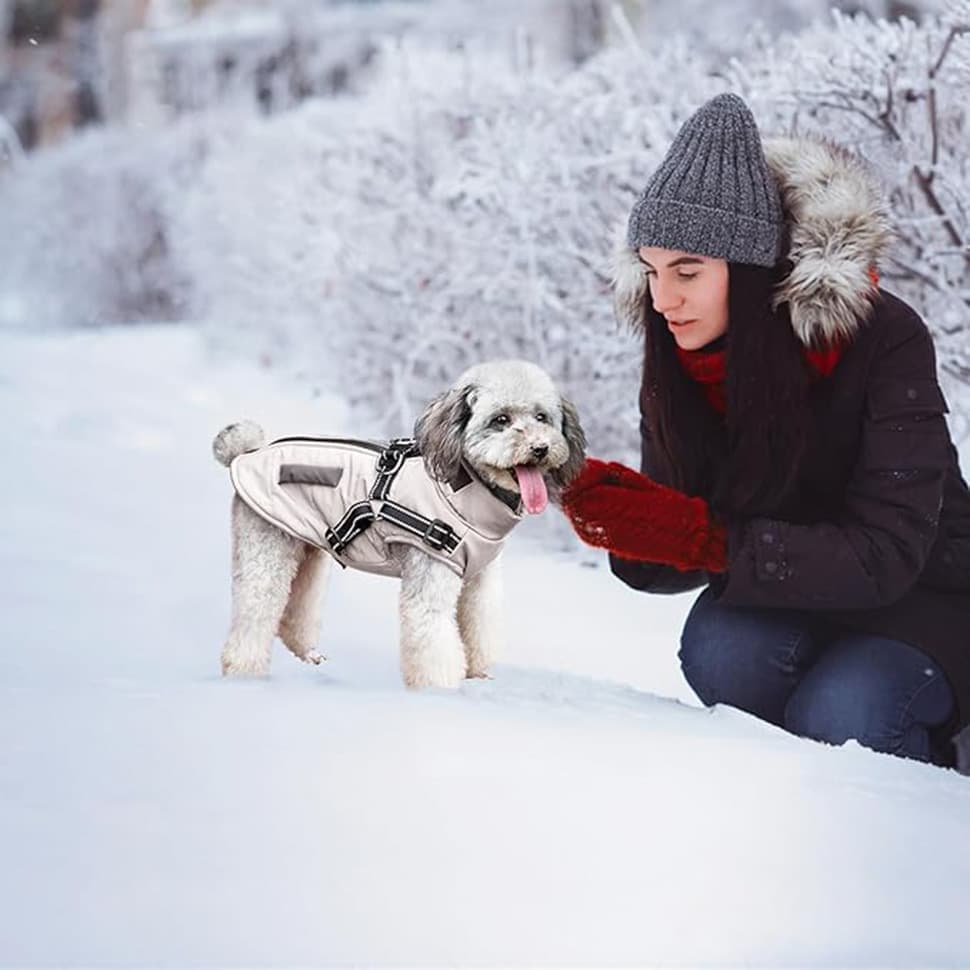 2PCS Warm Soft Winter Dog Vest with Stand Collar, Wind and Waterproof, Multiple Colors, S M L, XL, Beige V1188-MS-325-0393