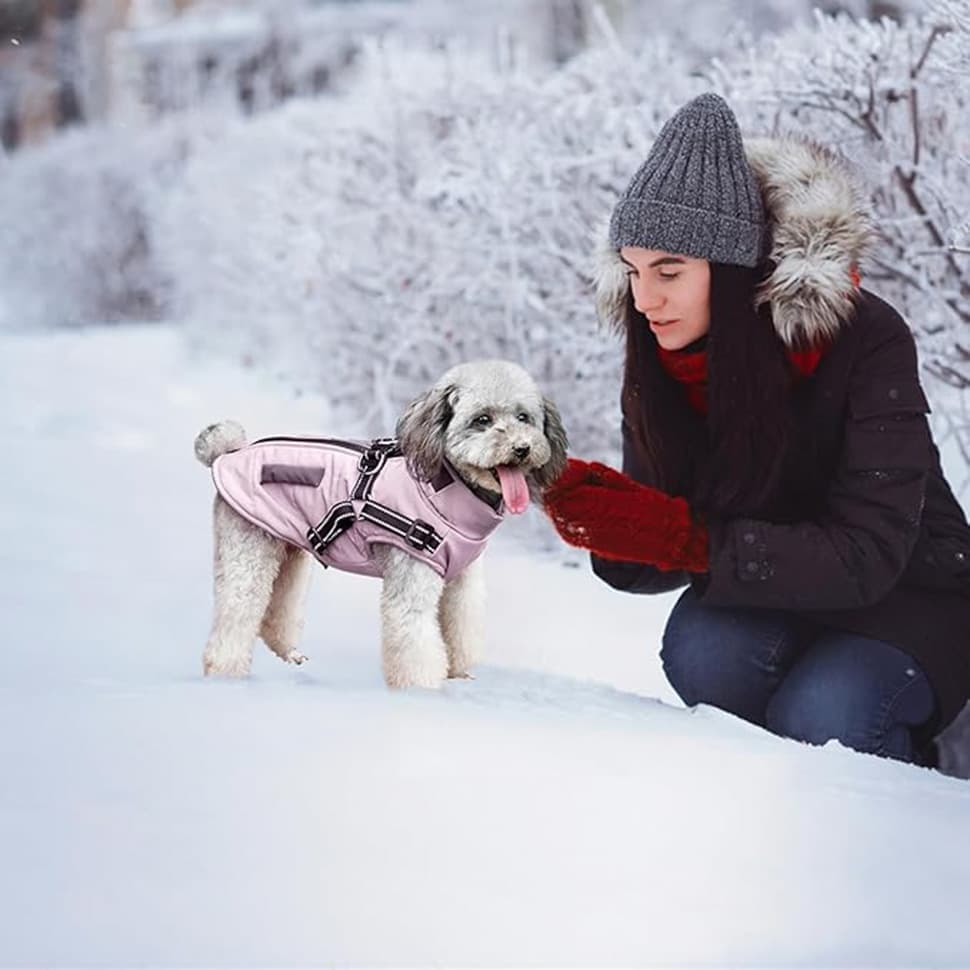 Warm Soft Winter Dog Vest with Stand Collar, Wind and Waterproof, Multiple Colors, Pink, S to XL V1188-MS-325-0399