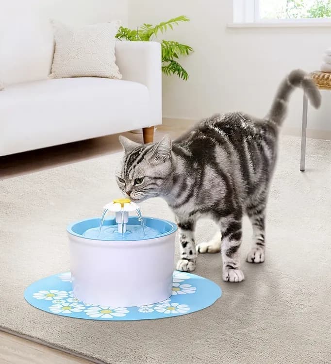 1.6L Round Pet Water Fountain for Cats and Dogs, Orange V1188-MS-325-0502