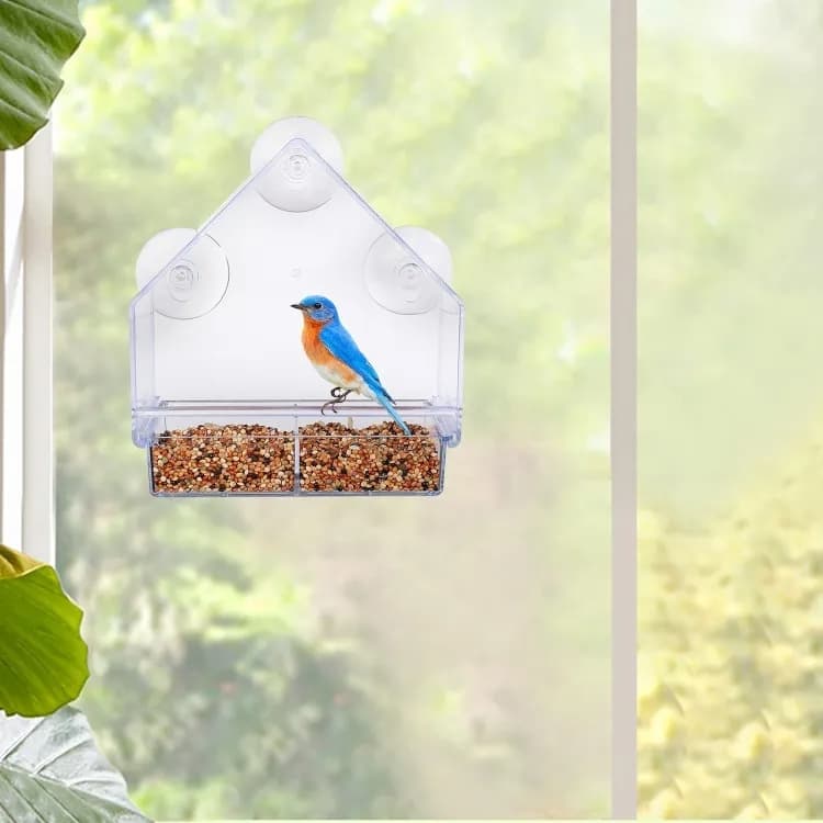 Acrylic bird feeder with suction cup bird bath and food bowl, 15x5.5x16 cm V1188-MS-325-0574