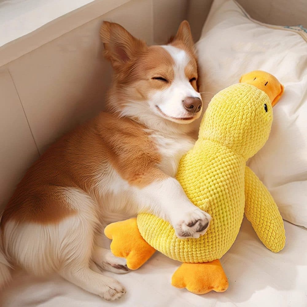 1 Calming Plush Duck Dog Toy with Squeaker for Small Dogs, M V1188-MS-325-0683