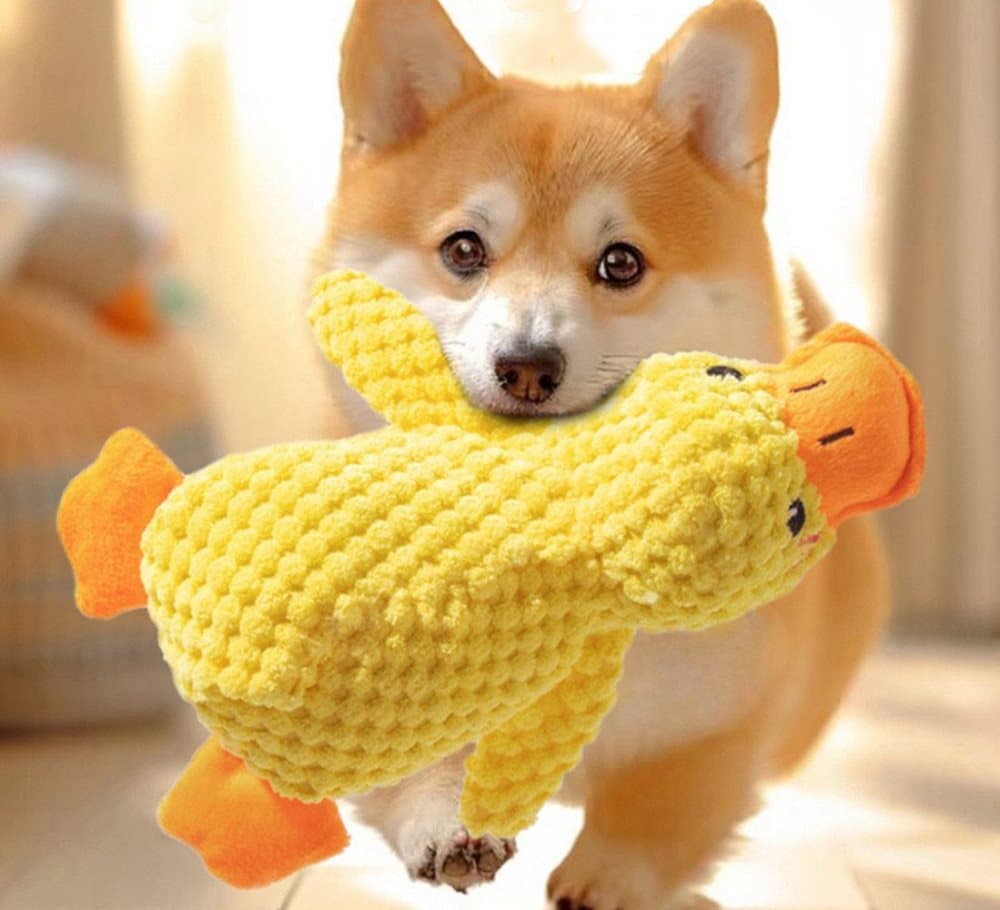 Calming Dog Toy Plush Duck with Squeak for Small Dogs, L V1188-MS-325-0684