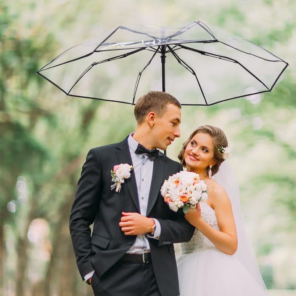 Automatic Folding Transparent Umbrella with 9 Fiberglass Ribs, Waterproof Lightweight Travel Rain Umbrella, V1188-MS-325-0697
