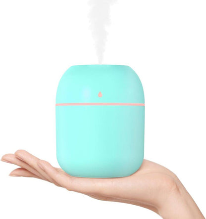 Portable Mini Humidifier 0.22L with USB, Automatic Shutoff, 2 Spray Modes for Bedroom Office and Car, Green V1188-MS-325-0787