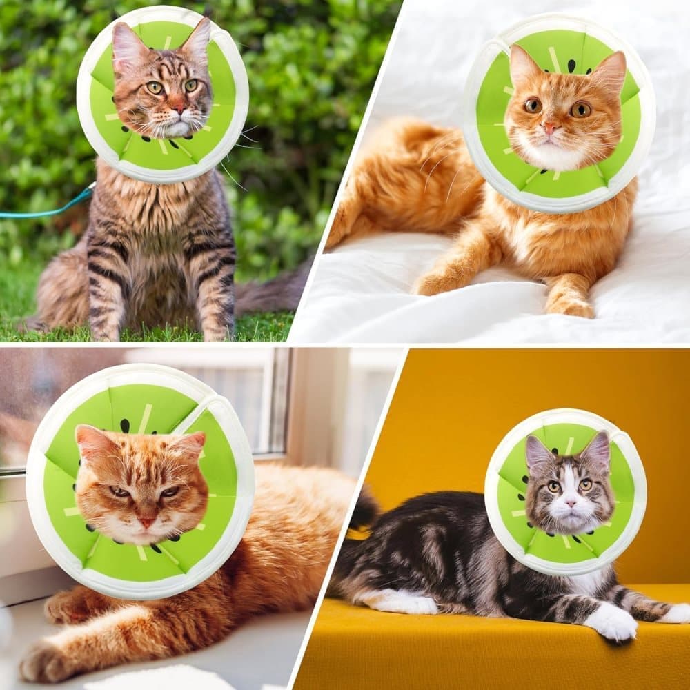 1 Adjustable Protective Collar for Cats and Dogs with Velcro, Compatible with Cats, Green, S V1188-MS-325-0826