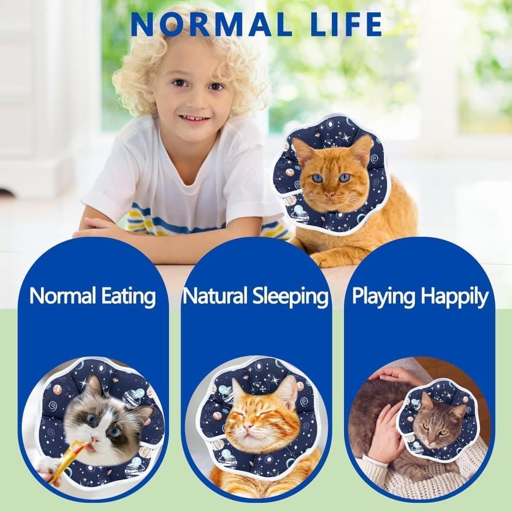 1 Adjustable Protective Collar for Cats and Dogs with Velcro, Blue, S, Compatible with Cats V1188-MS-325-0829