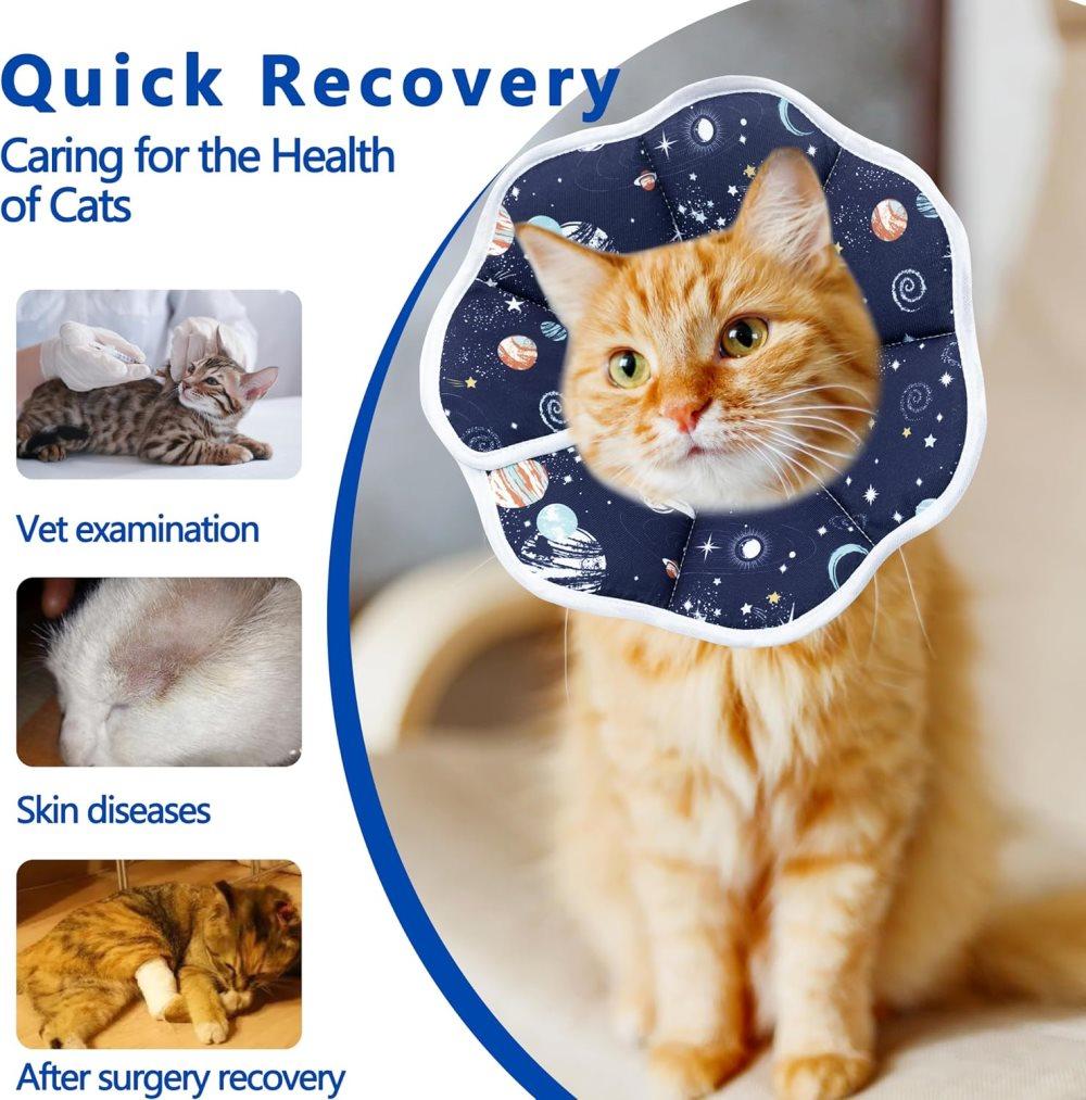 Adjustable Protective Collar for Cats and Dogs with Velcro, Compatible with Cats, M V1188-MS-325-0830