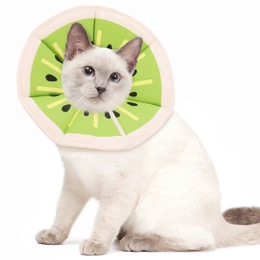 Adjustable Protective Collar for Cats and Dogs with Velcro, M, Green V1188-MS-325-0832