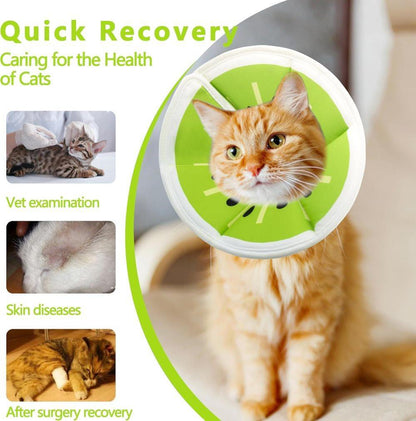 Adjustable Protective Collar for Cats and Dogs with Velcro, M, Green V1188-MS-325-0832