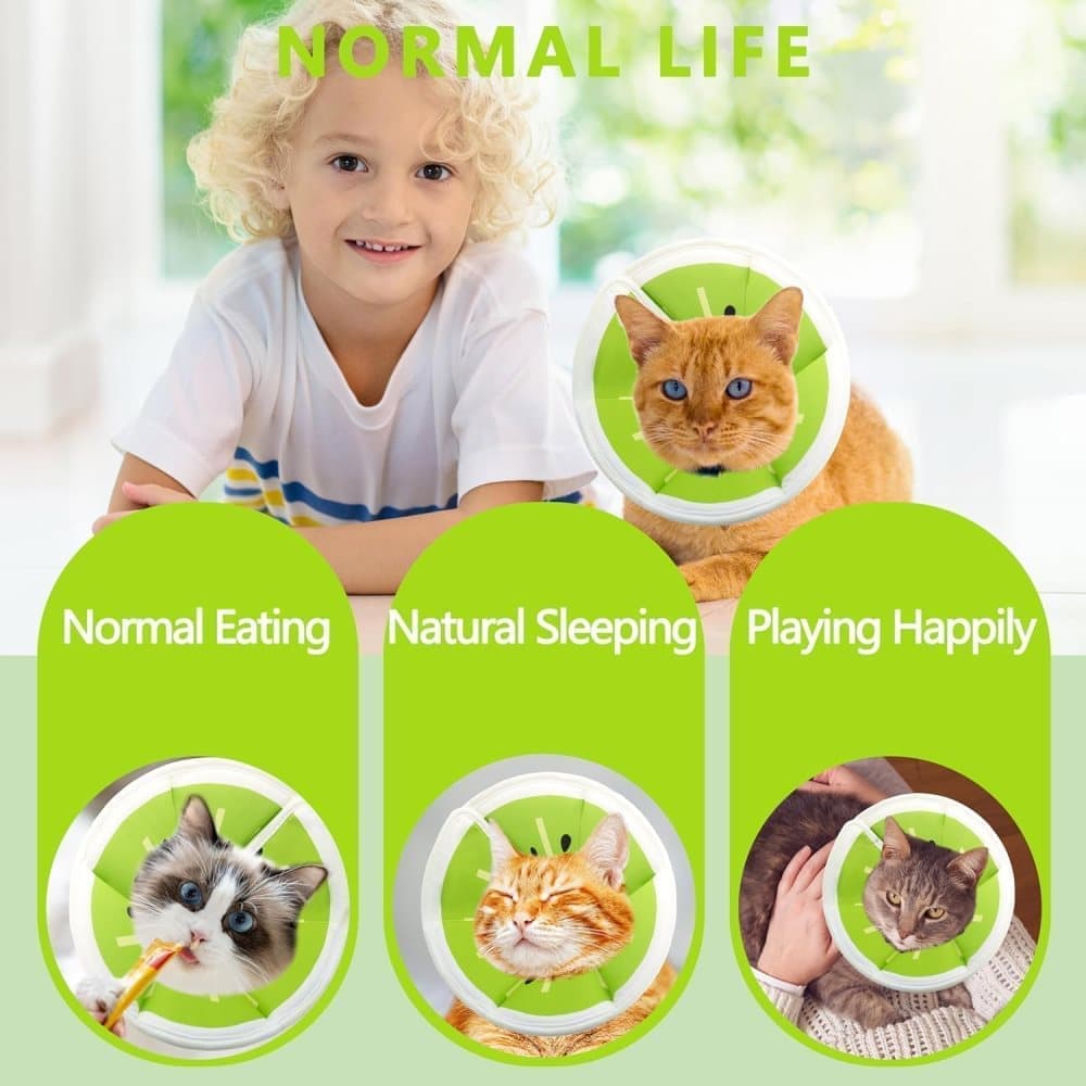 Adjustable Protective Collar for Cats and Dogs with Velcro, M, Green V1188-MS-325-0832