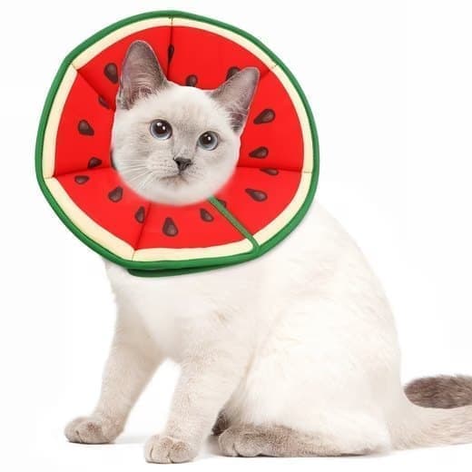 1 Protective Collar for Cats and Dogs with Velcro, Adjustable Neck Collar, Compatible with Cats, M, Red V1188-MS-325-0833