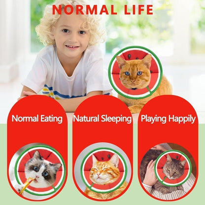 1 Protective Collar for Cats and Dogs with Velcro, Adjustable Neck Collar, Compatible with Cats, M, Red V1188-MS-325-0833