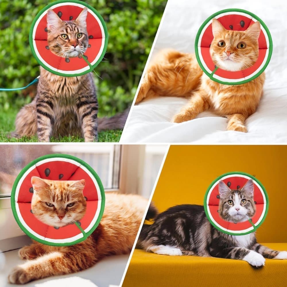 1 Protective Collar for Cats and Dogs with Velcro, Adjustable Neck Collar, Compatible with Cats, M, Red V1188-MS-325-0833