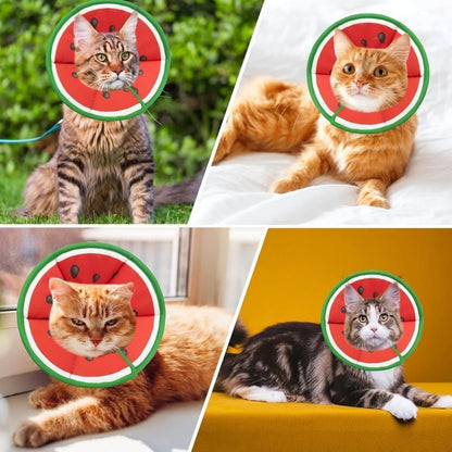 1 Protective Collar for Cats and Dogs with Velcro, Adjustable Neck Collar, Compatible with Cats, M, Red V1188-MS-325-0833