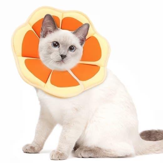 1 Adjustable Protective Collar for Cats and Dogs with Velcro, Compatible with Cats, M, Orange V1188-MS-325-0834