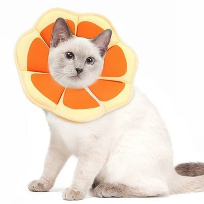 1 Adjustable Protective Collar for Cats and Dogs with Velcro, Compatible with Cats, M, Orange V1188-MS-325-0834