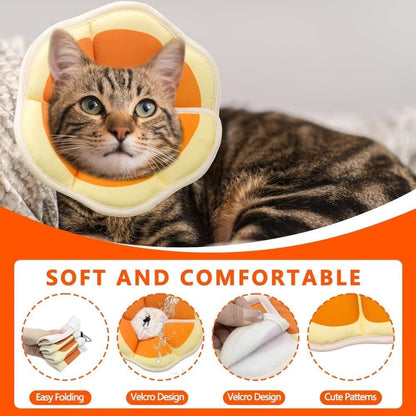 1 Adjustable Protective Collar for Cats and Dogs with Velcro, Compatible with Cats, M, Orange V1188-MS-325-0834