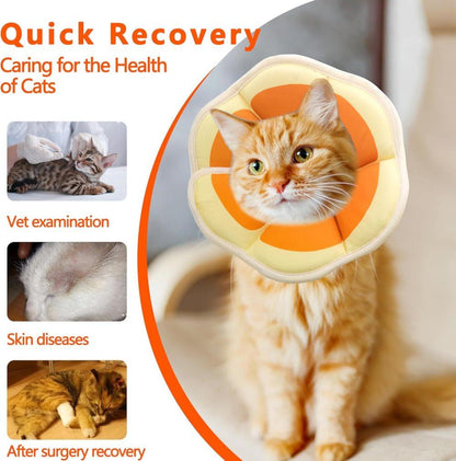 1 Adjustable Protective Collar for Cats and Dogs with Velcro, Compatible with Cats, M, Orange V1188-MS-325-0834