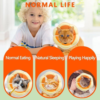 1 Adjustable Protective Collar for Cats and Dogs with Velcro, Compatible with Cats, M, Orange V1188-MS-325-0834