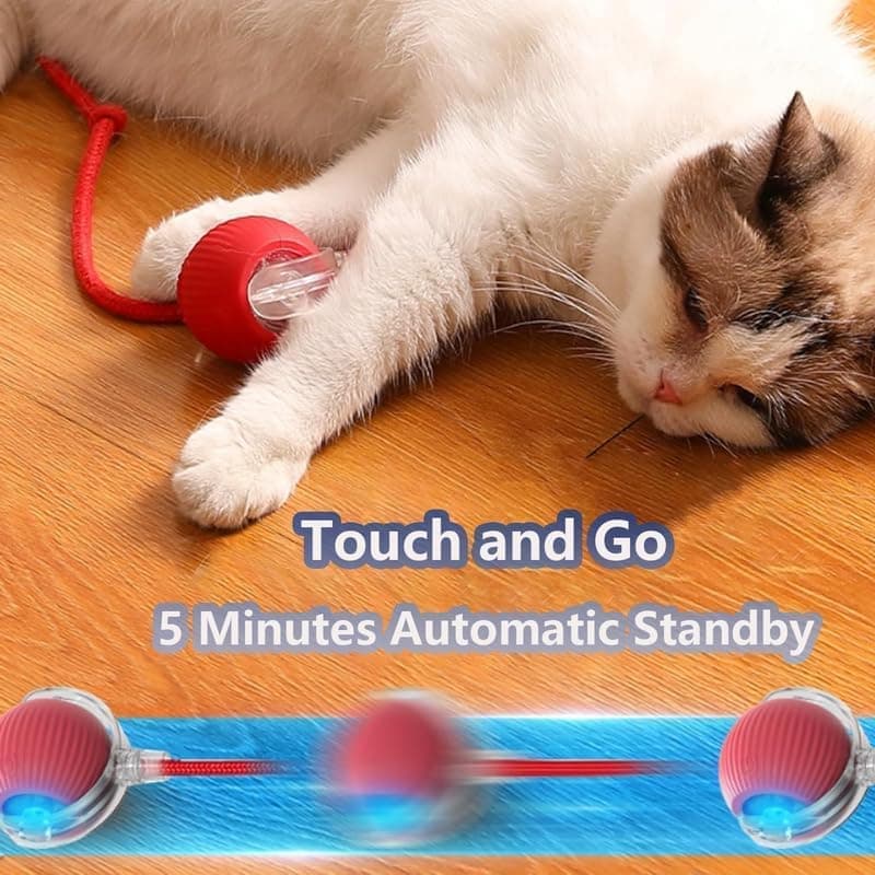 Interactive Cat Toy Ball Electronic Automatic with 3 Modes, Compatible with Cats, Green V1188-MS-325-0844