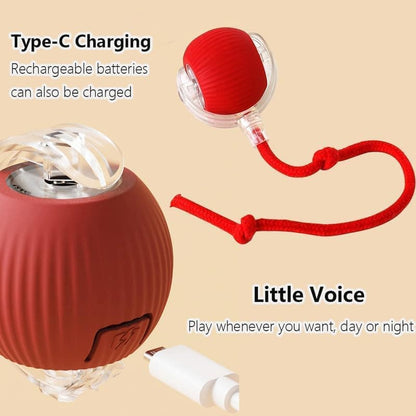 Interactive Cat Toy Ball Electronic Automatic with 3 Modes, Compatible with Cats, Green V1188-MS-325-0844